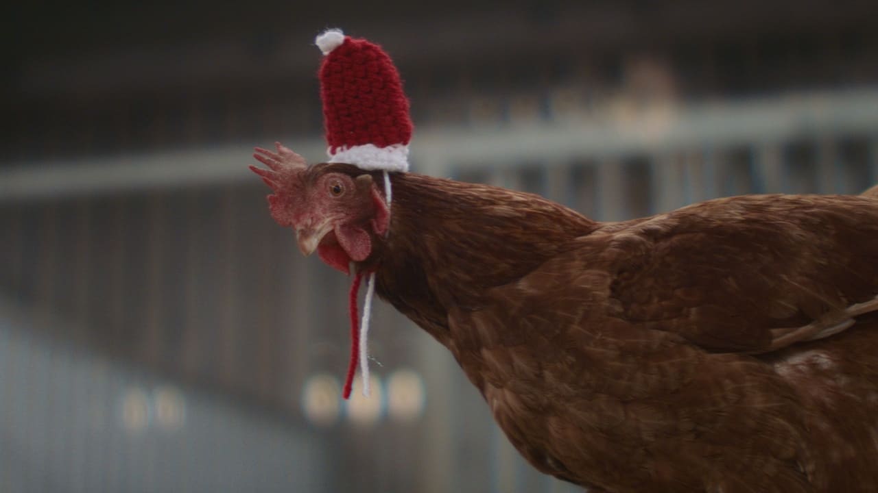 Feather Christmas Movie  Screenshot 4